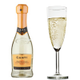 Canti Prosecco D.O.C (200ml 10.5%)